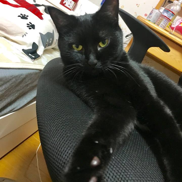 C7a3f875 dd05 4129 9ee3 807fed1f0c32