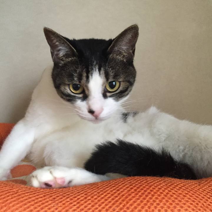 C7a40e7f 5b5b 4f59 bb5a 3e9be40cbbf2