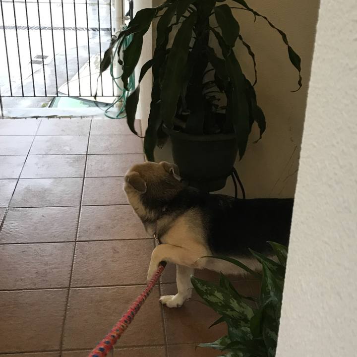 C7a4259f 7822 4ea1 95de e177a39551c6