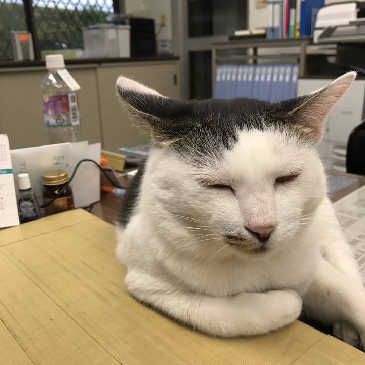 C7a42d8e 366e 4ef3 a9e5 1cf26f401024