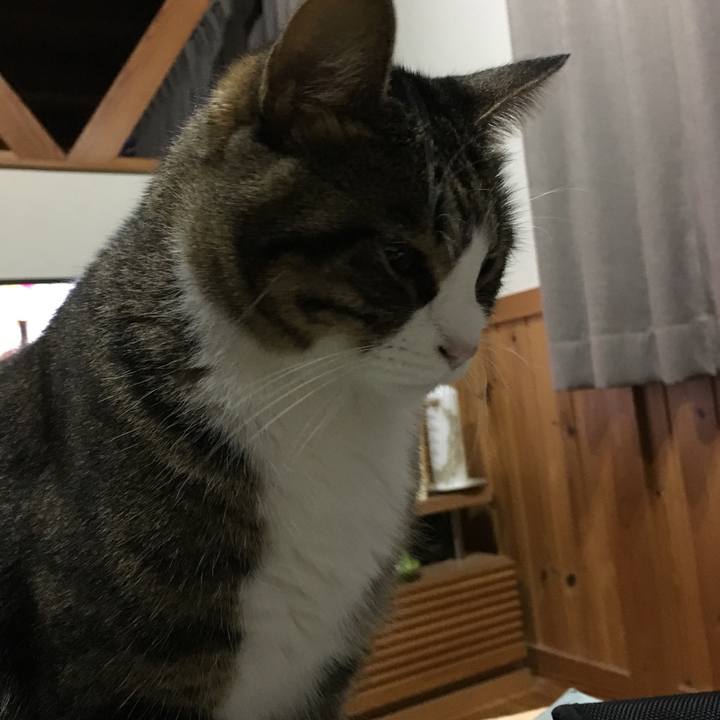 C7a45ade 36e8 422b 8082 60cf38052f8c