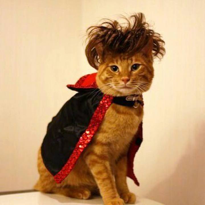 C7a4f796 4cd5 4e86 a8cd f2f03747d774