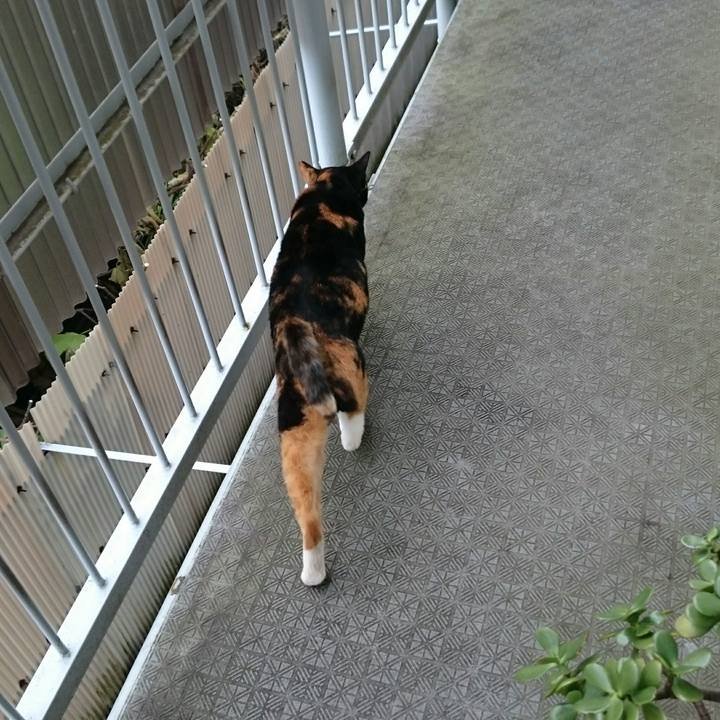 C7a5126e 3f50 42be bea7 b8b851c7421a