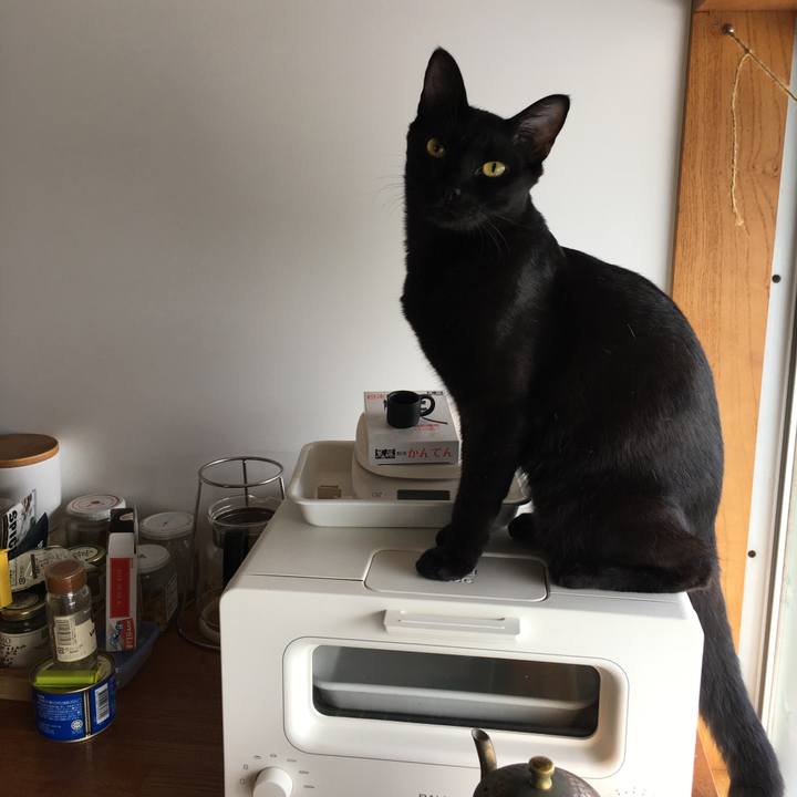 C7a52b73 4278 4143 b0ed 2e65ac9864c7