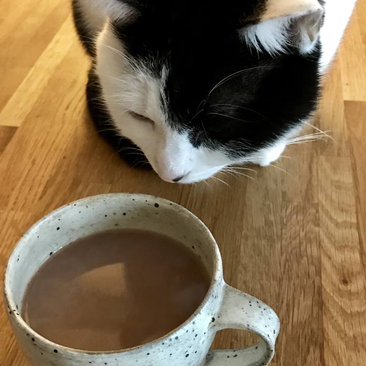 C7a58ad9 f83d 4bab 84d9 f1e74f046379