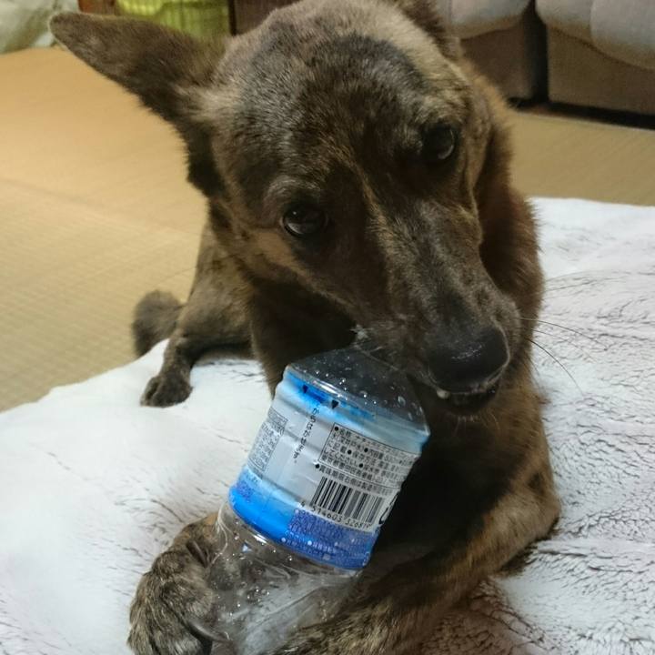 C7a593db ab99 4f4c bcc0 b0a92f5ace86