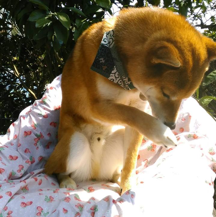 C7a5b5a4 77d2 4527 985f fbb58966b7ae