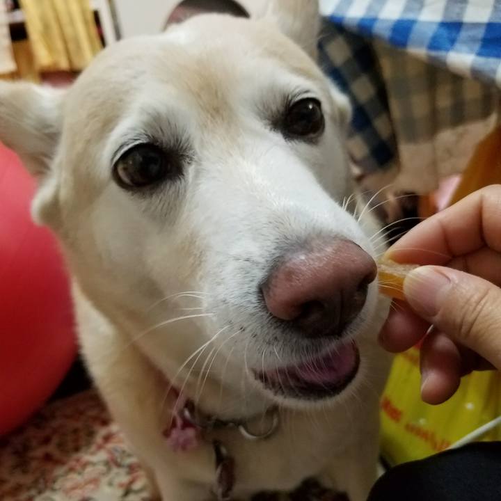 C7a64f09 d408 49e6 82d4 1607be2af6cf