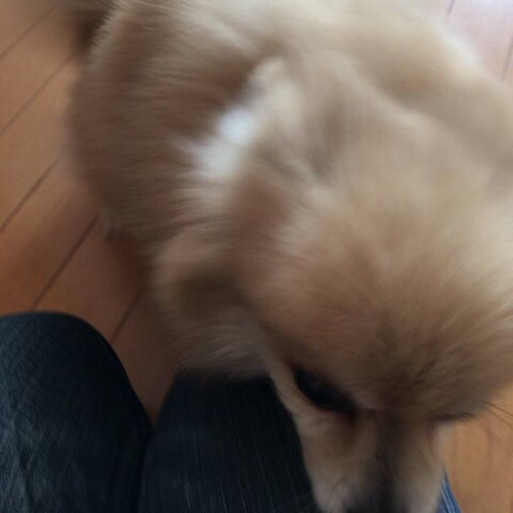 C7a67148 2d5a 4fda aa5d 5217542686da