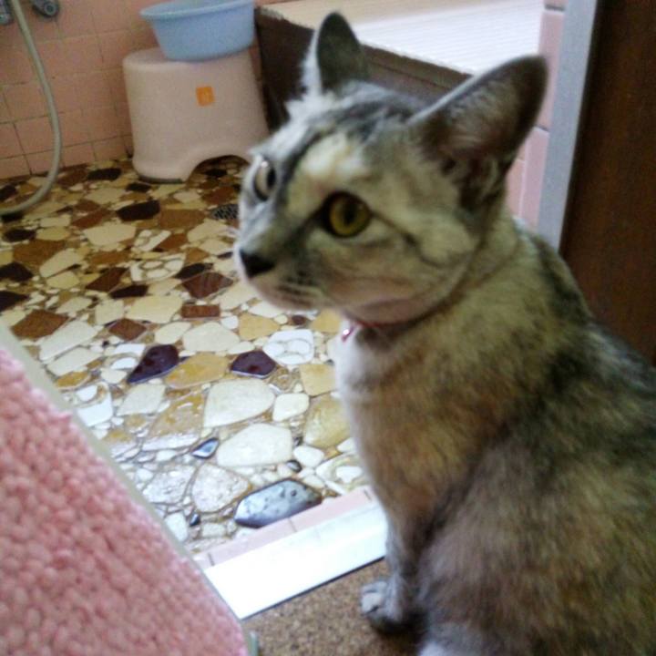 C7a70776 dc4f 484f a874 767e797c6707