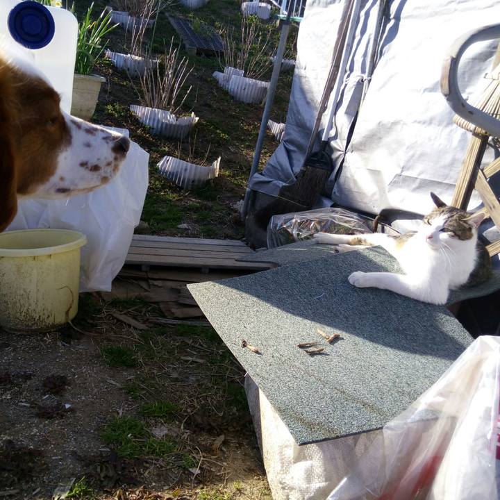 C7a751fd bf7a 4e5b 8a0d 339d6fa8498a