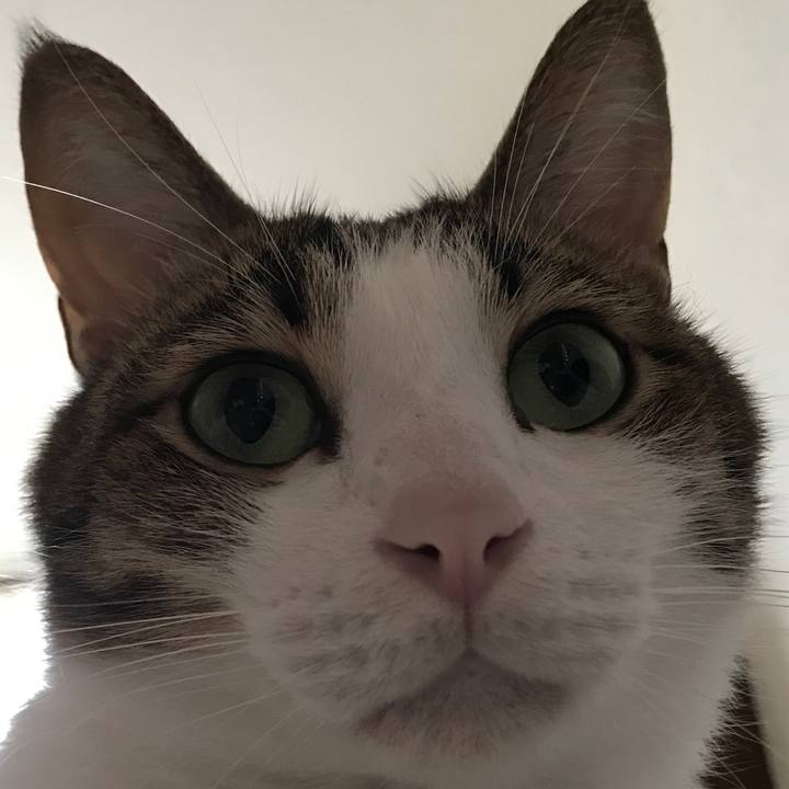 C7a753b7 03dd 4dc1 b818 e9a0bffb0e27