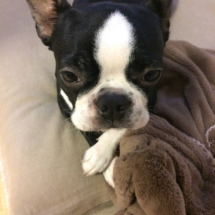 C7a783ff 4cf7 44eb 9c70 c683a98e7c43