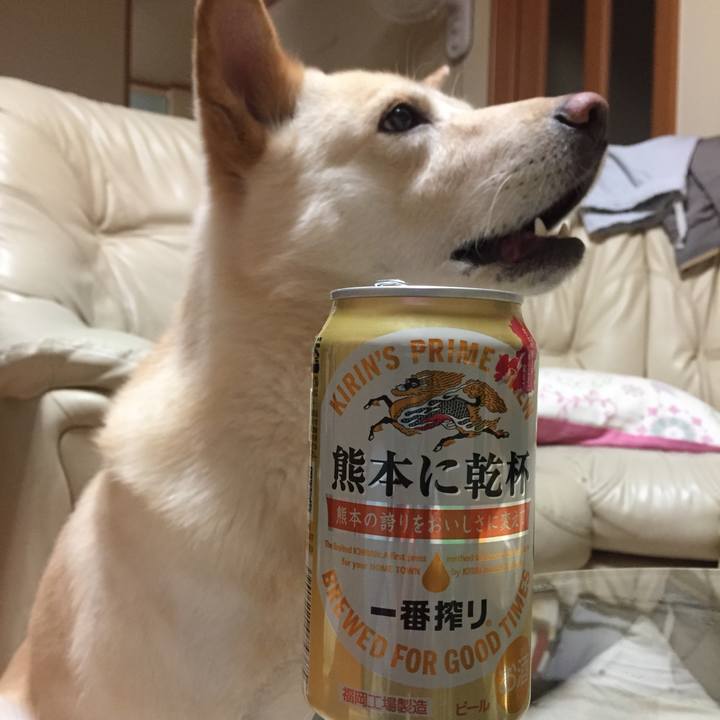 C7a7ca88 2894 4b7b b119 73dd5fcf74ac