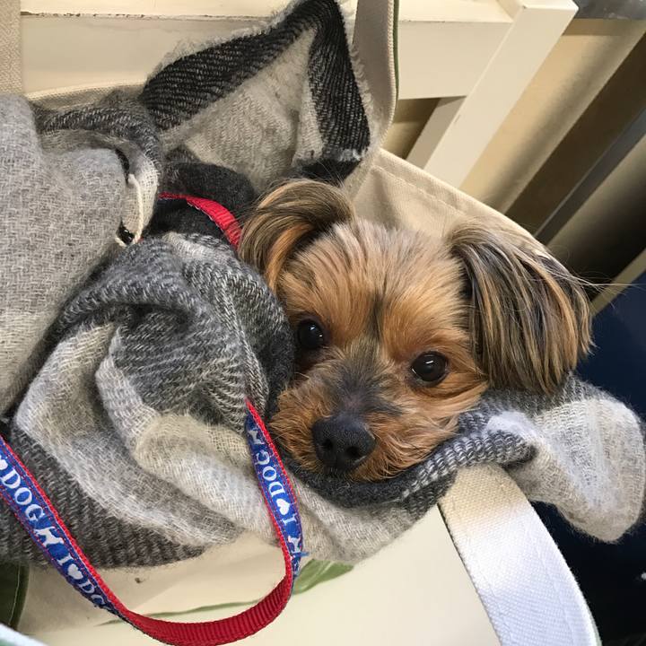 C7a7de17 7cfa 4659 9b8b ad76774ba20c