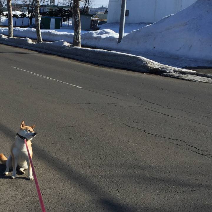 C7a838b6 516f 4bc2 8b8d 4872471a4584