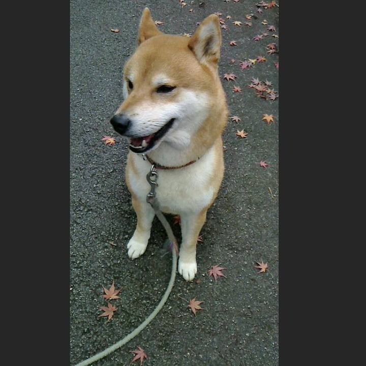 C7a885bf f8b8 4aea 8094 41d6de7e417d