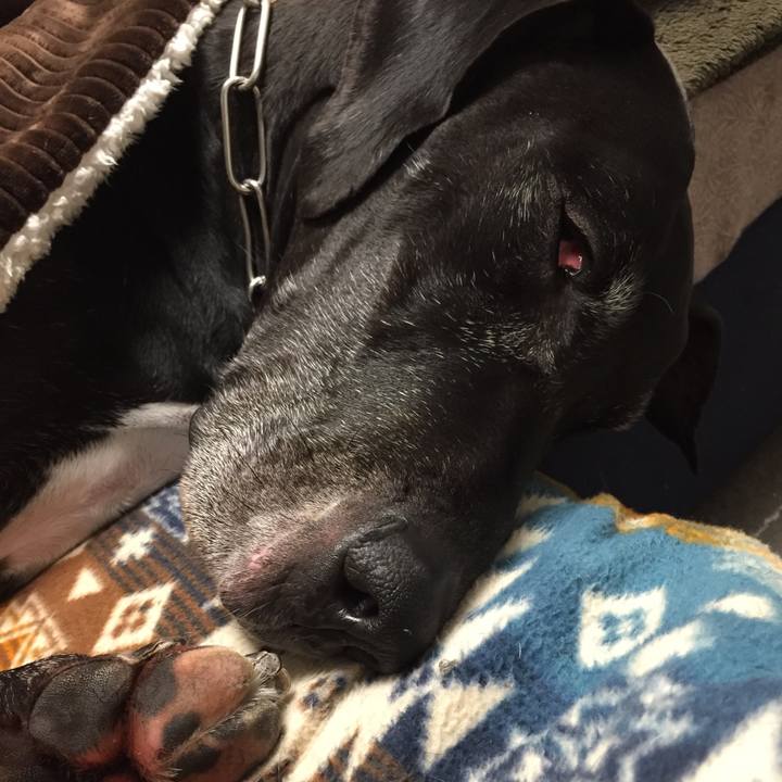 C7a89914 700d 418e b275 cfd3ba8a9e5d