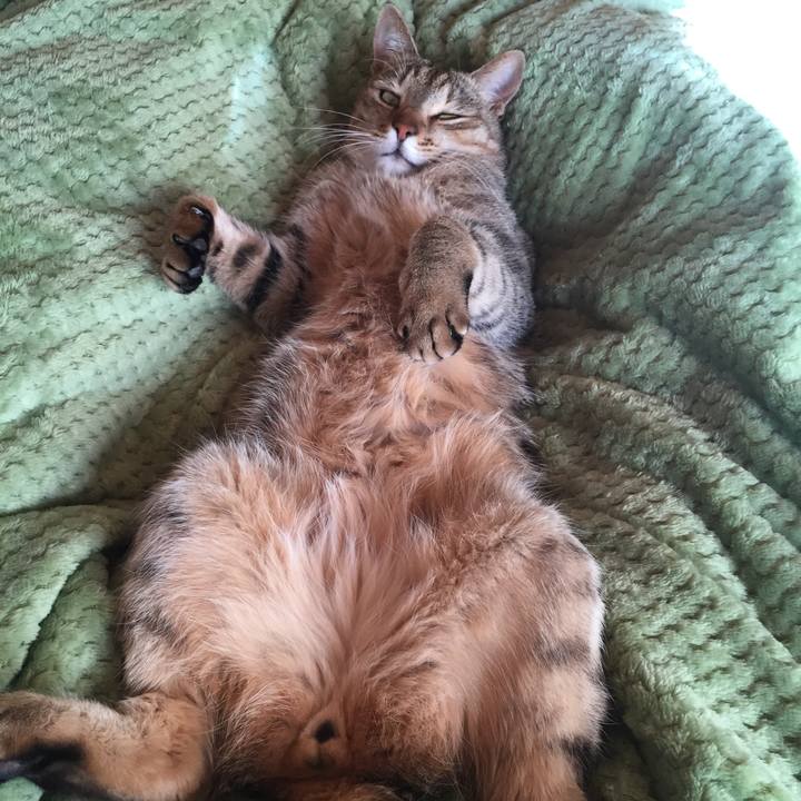 C7a89cd6 b31f 421b 874a 2ed5ae373833