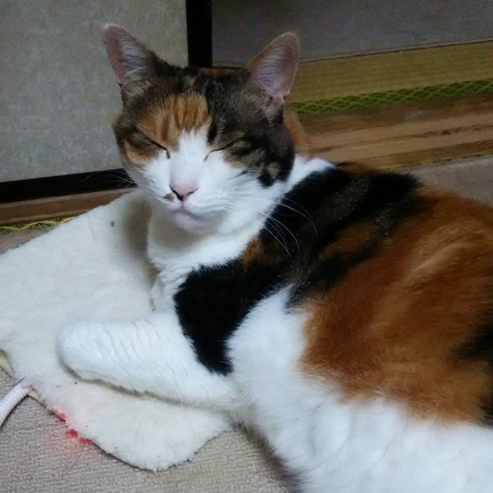 C7a8f7b1 c672 482d b46b 150db5e68ea1