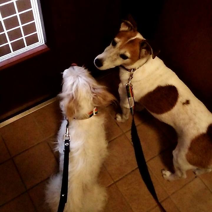 C7a9b3bf 4f68 4908 9c63 404e8417c883