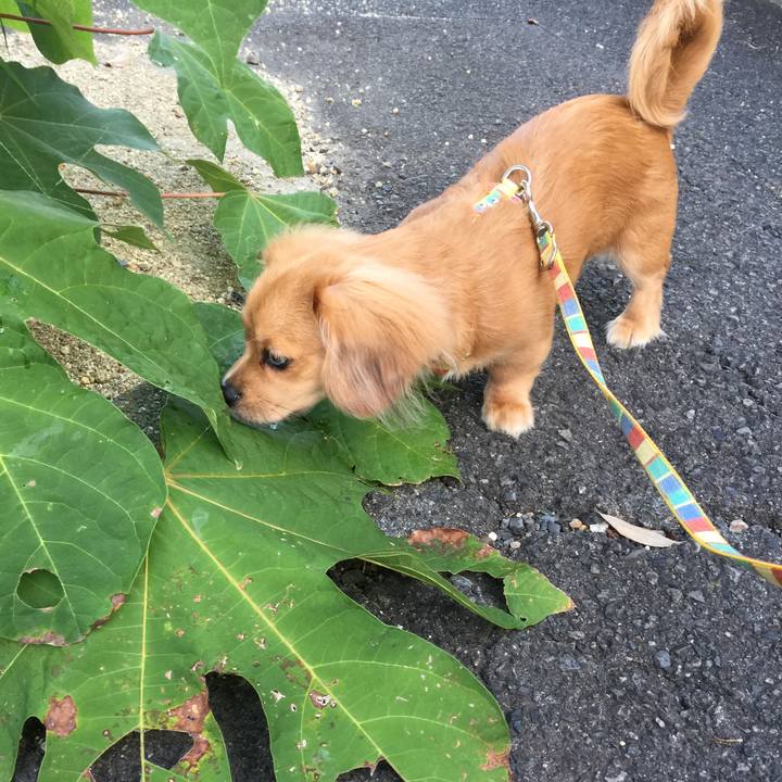 C7aa43f1 2fef 4180 95f2 0ba6acc60421