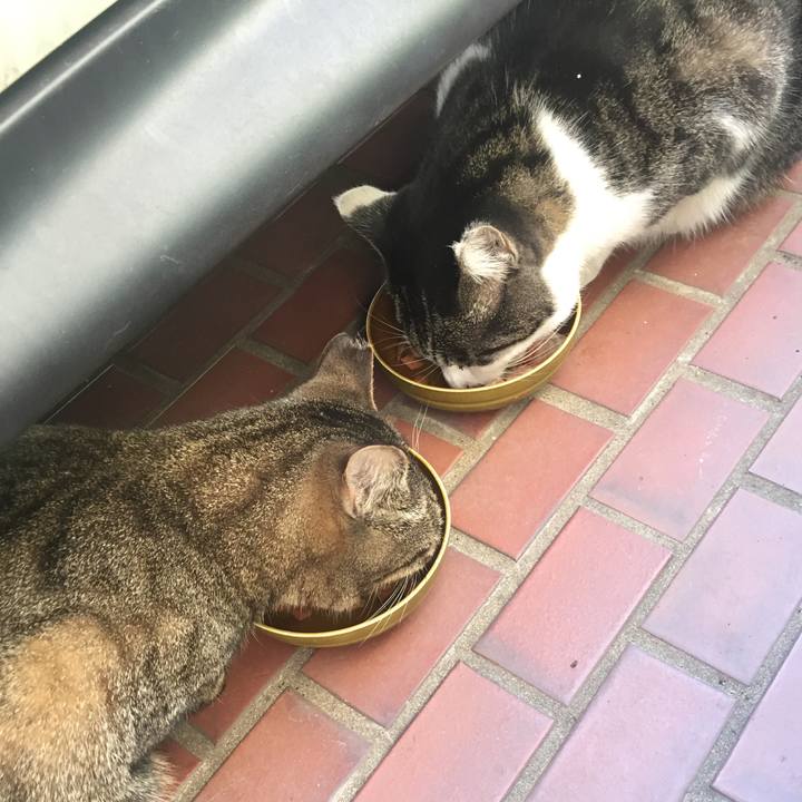 C7aa51aa 3aa4 43f0 9003 e3937563a350