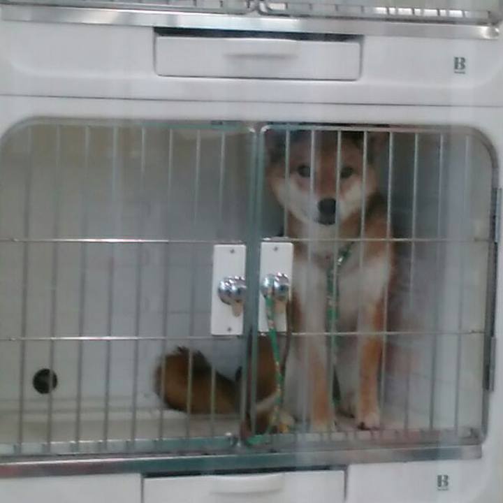 C7ab075b e2b2 4350 9c66 34e7f1abada3