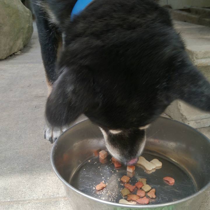 C7ab19ec 6f41 483b af3c d9c8ac41fc33