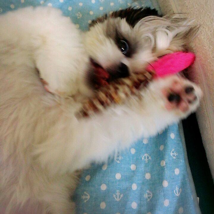 C7ab399f 30b8 4f12 a29b d736889a88df