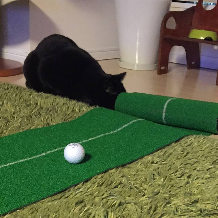 C7ab7cfe b556 4a15 9079 670a89e28398