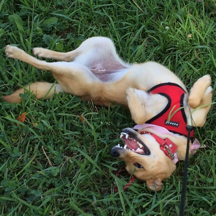 C7abadf2 42d6 412f a229 2432914ba4a9