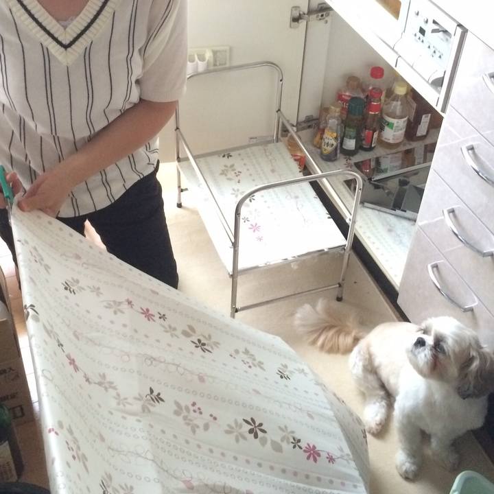 C7abc307 bbdb 430e 82c8 737e2001a968