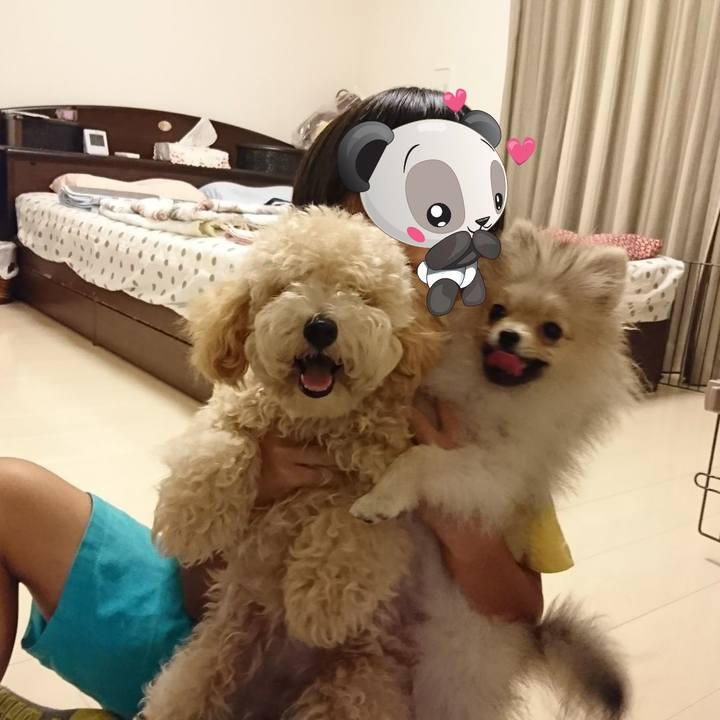 C7ac0d26 e083 419d bd93 d2be3472b22a