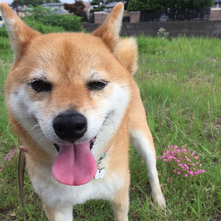 C7ac19ad 5828 4cc3 99d1 04ddc2a90205