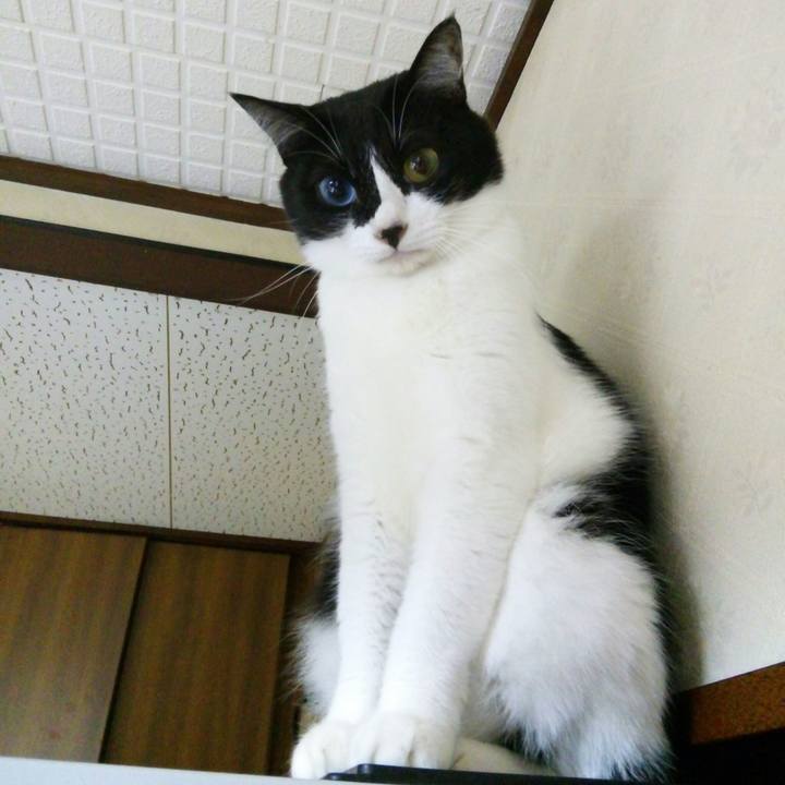 C7ac7990 f8d1 4247 a06b 202a10d36ff3