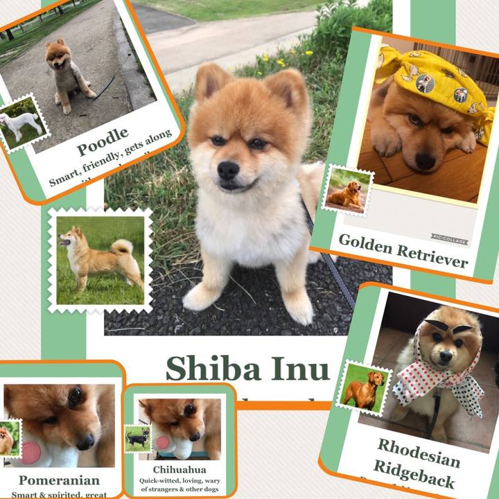 C7ac7fdc 0e6d 4b91 b11d d1b2483f22d4