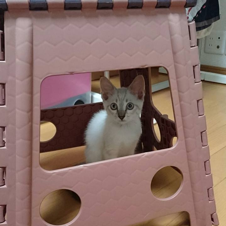 C7ac92b9 7224 4c87 9c8b f2b01e0831b2