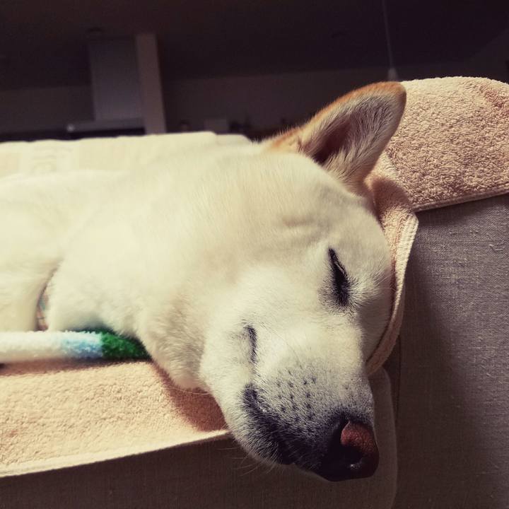 C7acef84 9114 48c6 b068 a5e7cee7eb7c