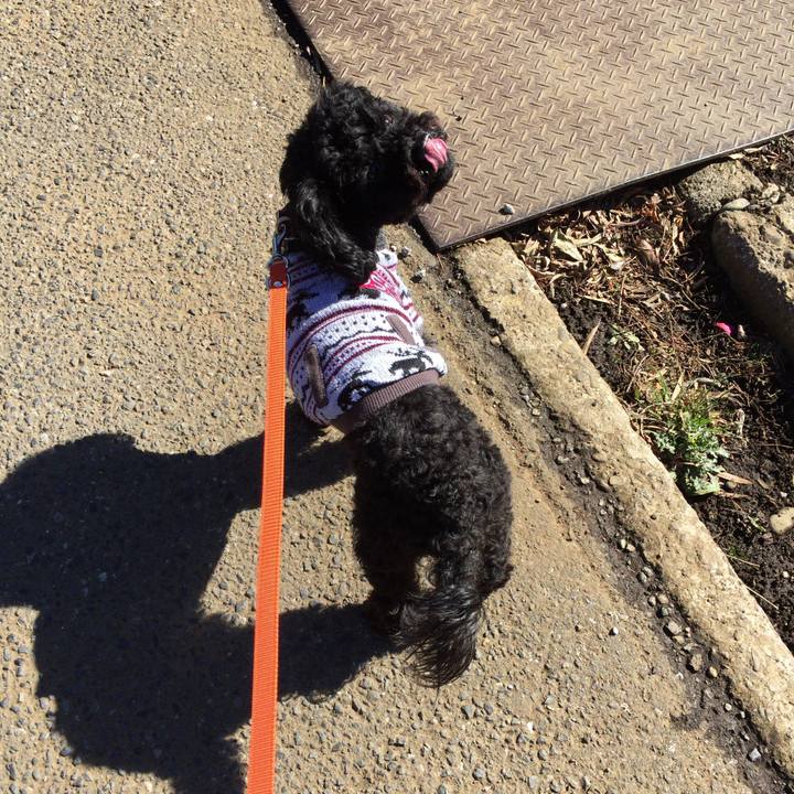 C7ad285c 48c7 41e6 bfa4 75e25e29f2bd