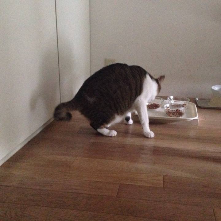 C7ad4953 48b1 49db a528 8865a8f78408