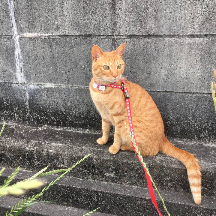 C7adb756 54ac 4bb8 918d 26eb07d24678