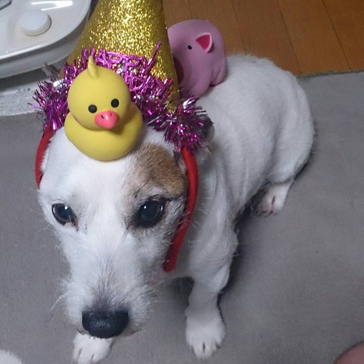 C7adc9e0 a77b 40d3 9645 2b4eb776b68e