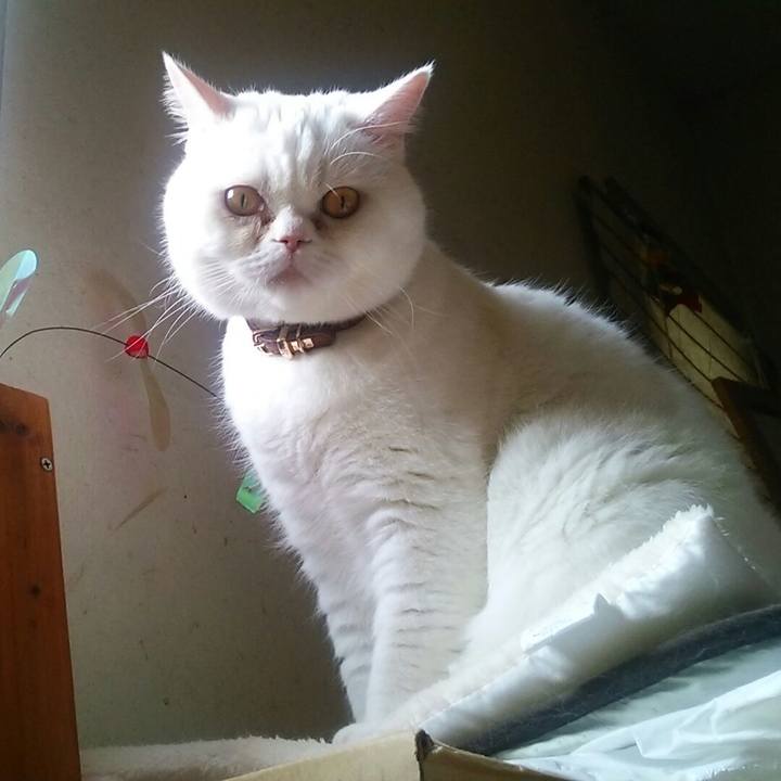 C7ae23fa b2c5 468e 8ce0 4d7ba6ce2480