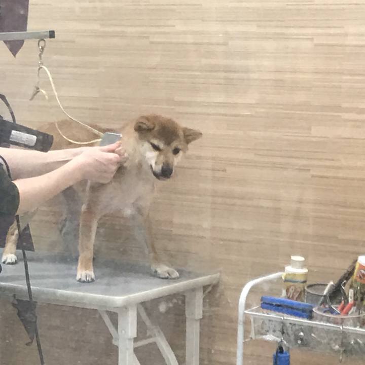 C7ae5c81 0a66 4396 ad89 6e55e4aa022b