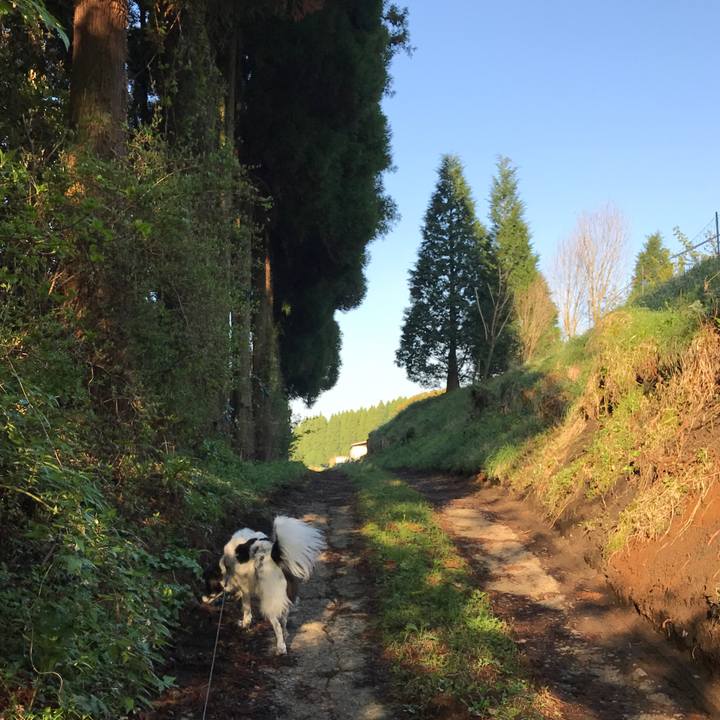 C7af2b11 e786 4a42 90a6 59c5be5d984b