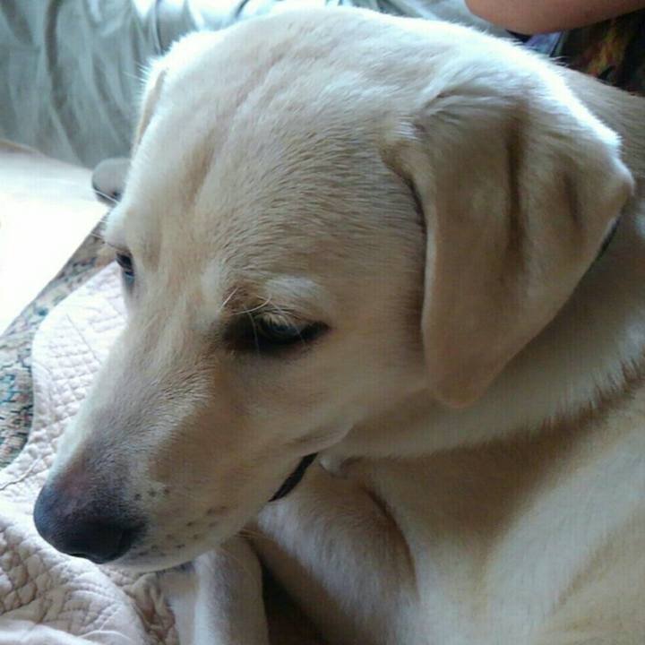 C7af642c 996b 4de5 b5df 6bfa683cb665