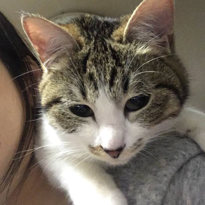 C7af8bd5 7a1a 40eb b766 27e912fccc18