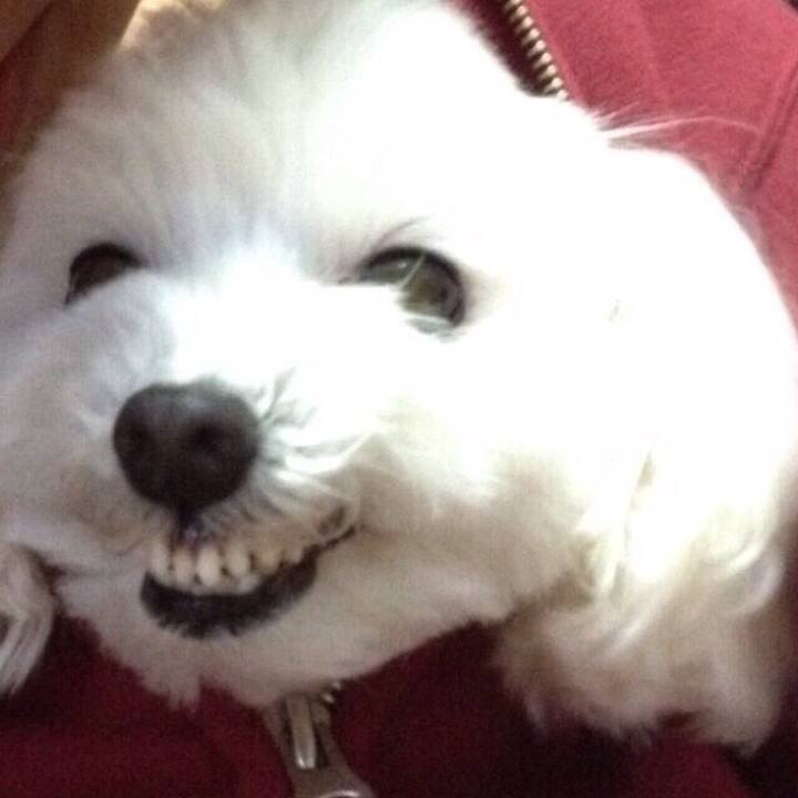 C7b02925 6014 49d4 82a7 95a927ee6cf8