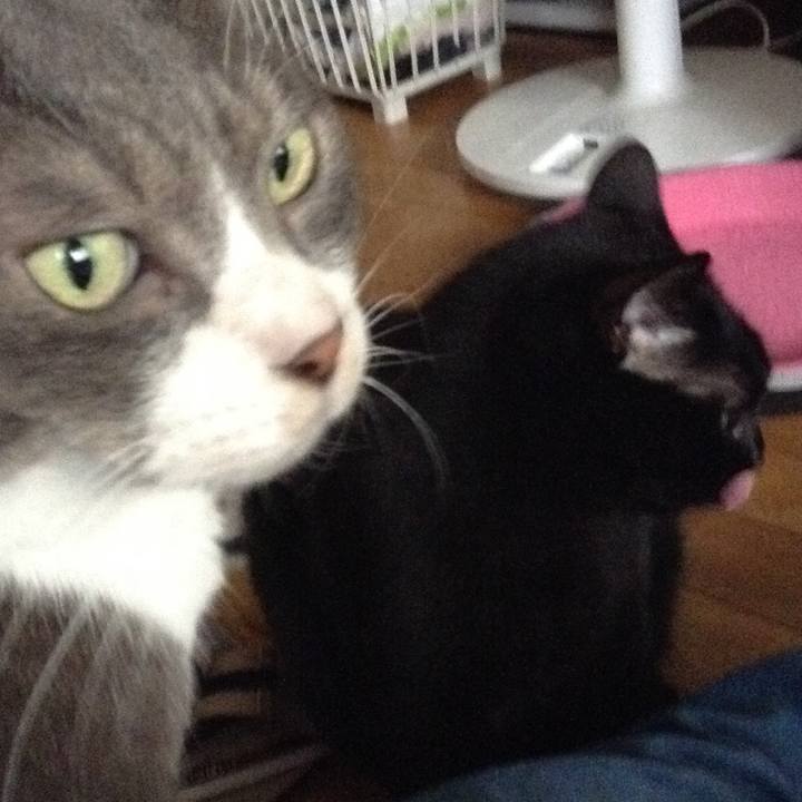 C7b0526b ef4f 462d bf6c ebc2a08f289d